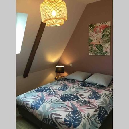 Appartement Dans Maison De 1789 Au Centre De Vitre 외부 사진